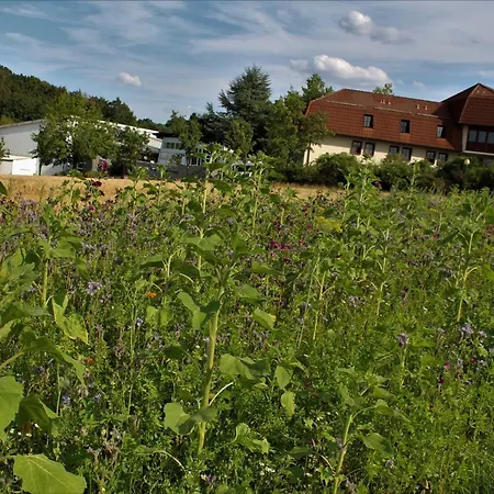 Landhotel Am Rothenberg Uslar