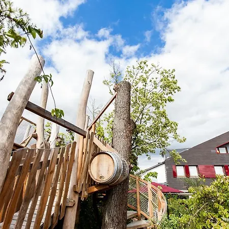 Hotel Am Rothenberg 4*