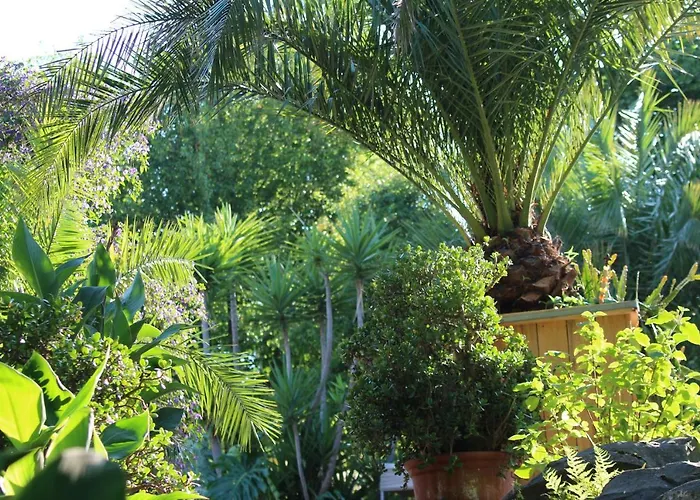 Szálloda Am Rothenberg 4*